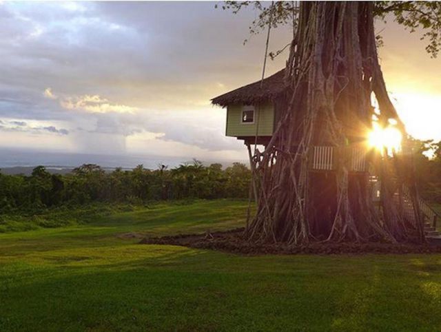 Now You Can Holiday in the Trees at This One-of-a-kind “Treesort”