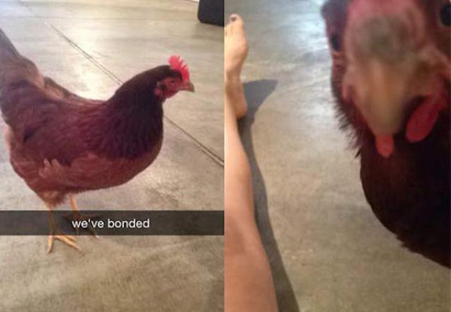 Hilarious Snapchat Stories That Will Bring a Smile to Your Face