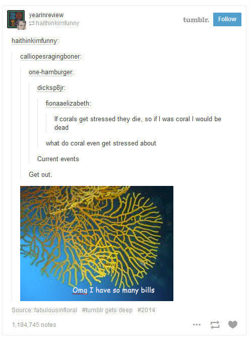 Tumblr Reflects on Nature and It Is Pretty Profound
