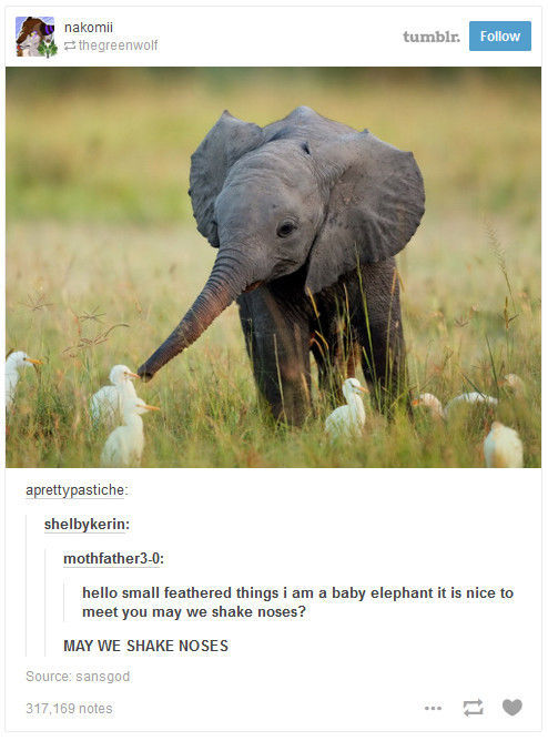 Tumblr Reflects on Nature and It Is Pretty Profound