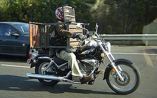 People Who Prove That Motorcycles Can Be Used to Transport Just about Anything