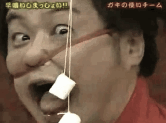 Crazy Japanese Game Show Stunts That Will Make You Say WTF?
