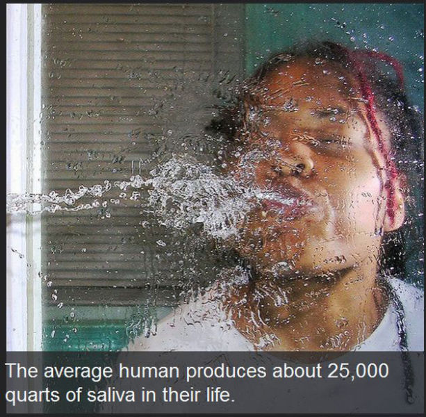 Fascinating Facts about the Human Race