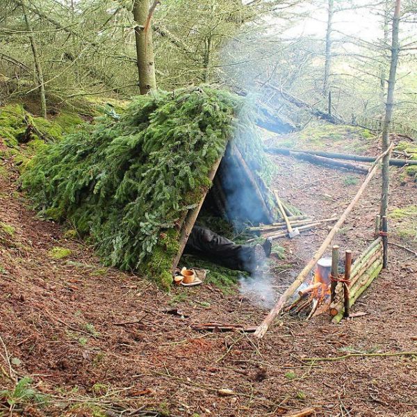 Make Your Own Shelter in the Wild