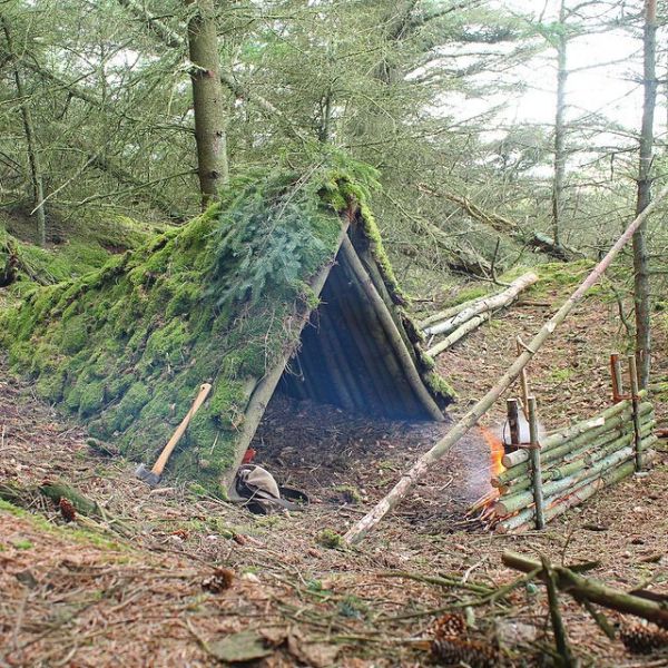 Make Your Own Shelter in the Wild