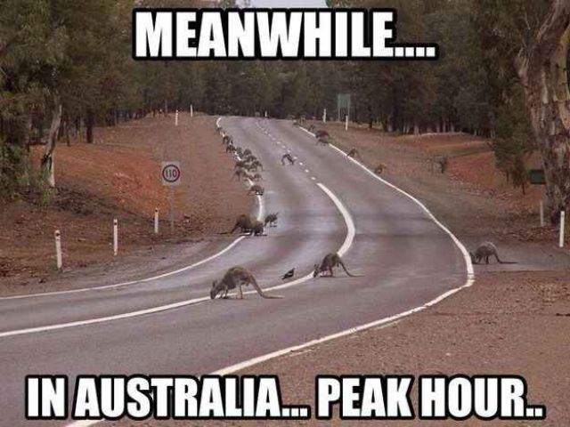 Meanwhile in Australia