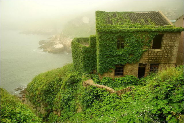 Abandoned Chinese Village Is Covered in a Sea of Greenery