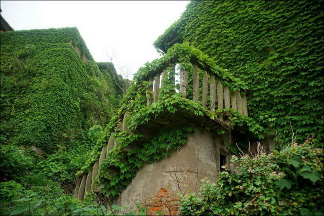 Abandoned Chinese Village Is Covered in a Sea of Greenery