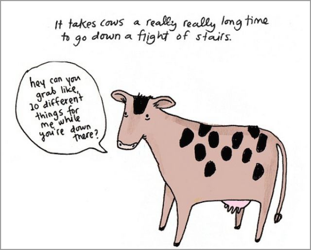 Humorous Illustrations of Sad Animal Facts