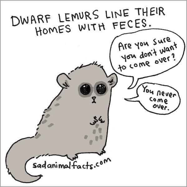 Humorous Illustrations of Sad Animal Facts