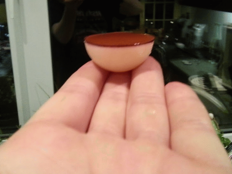 How to Make a Yummy Drunken Pokeball