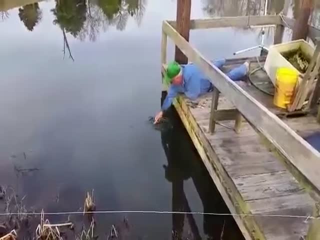 How to Catch Fish Like a Boss