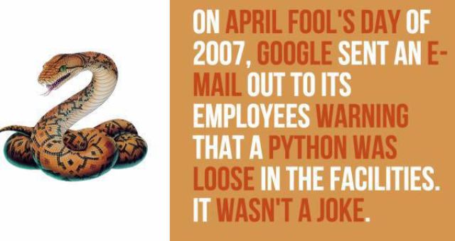 A Little Trivia about Google That You Probably Have Never Thought to Google Before