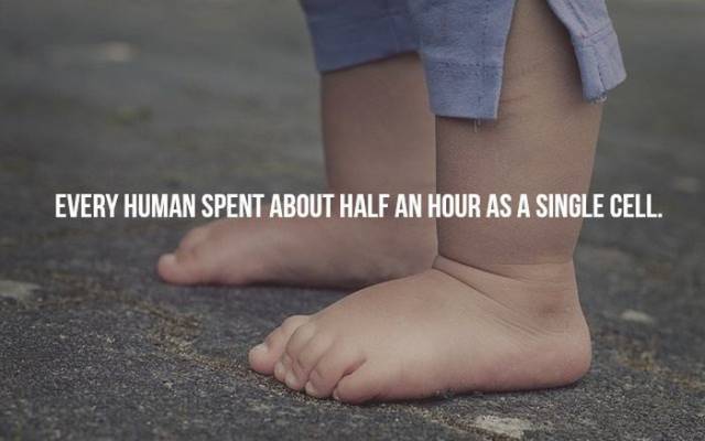 These Mind-Blowing Thoughts and Facts Are Fun to Know