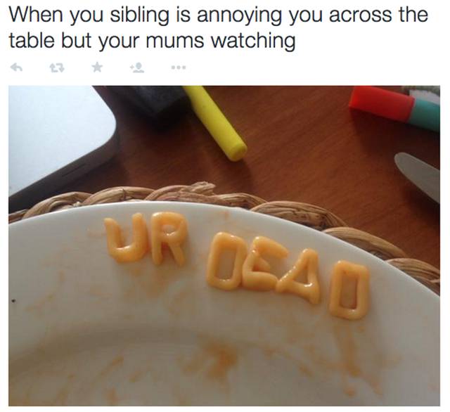 Images That Explain Sibling Life Perfectly