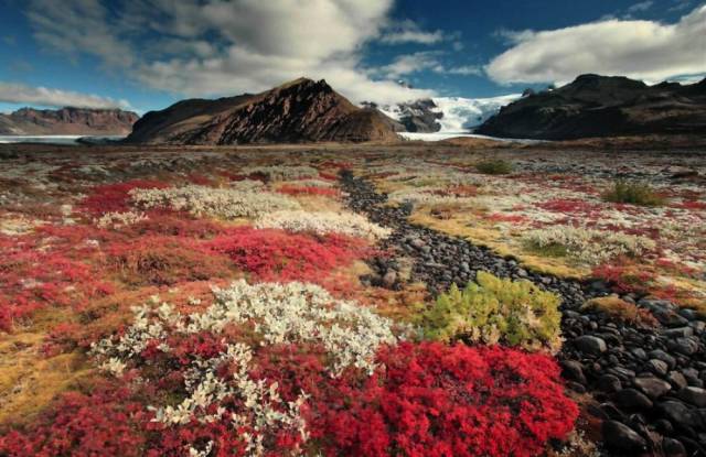 Stunning Photos That Capture the Majesty of Iceland