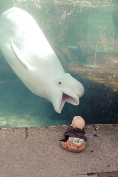 Amusing Aquarium Photos