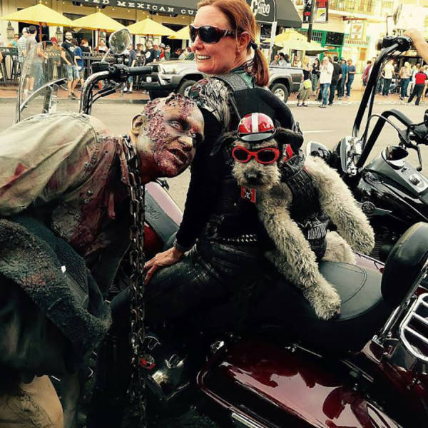 A Roundup of the All the Coolest Comic Con 2015 Moments