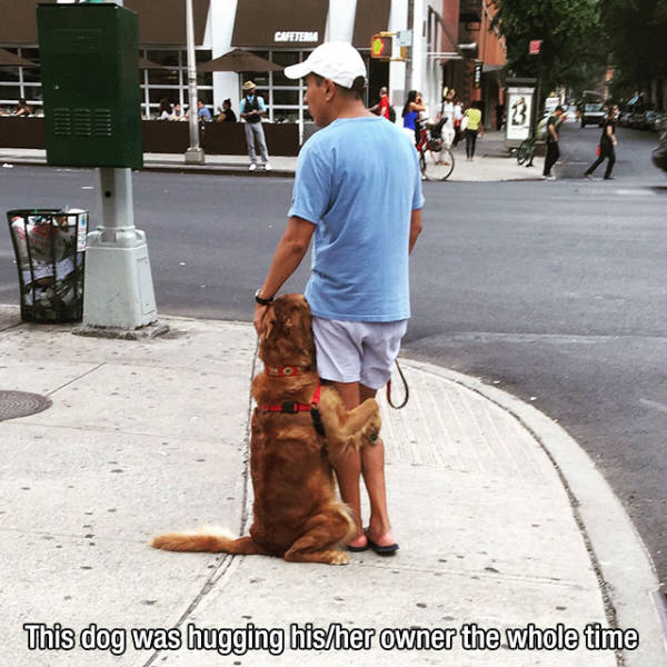 Dogs Understand What It Means to Love Unconditionally