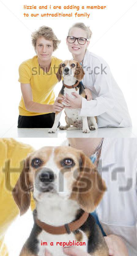 Clever Captions Make Stock Photos Absolutely Hilarious