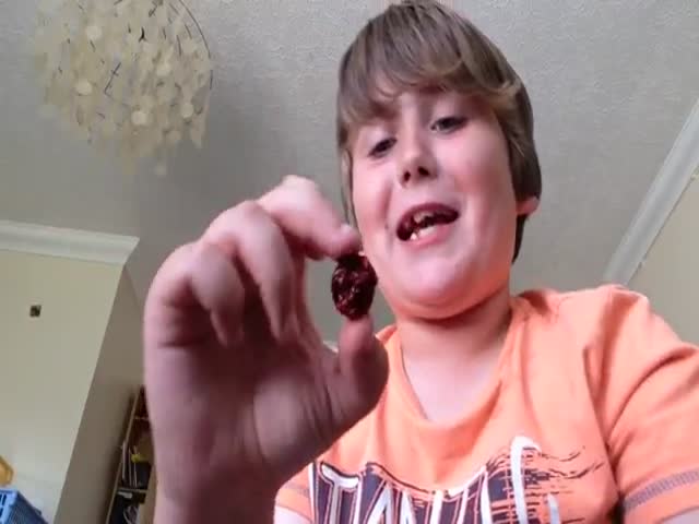 9 Year Old Scottish Kid Eats a Whole Carolina Reaper Pepper in One Go