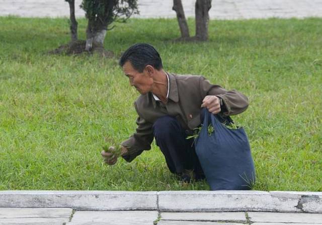 A Fascinating Look at the Daily Life in North Korea