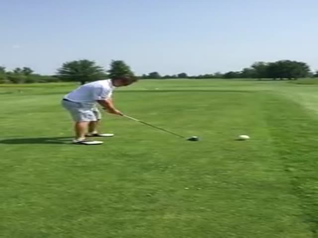 Seagull Becomes the Unsuspecting Victim of a Golfer’s Terrible Drive