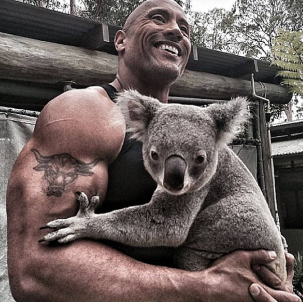 “The Rock” Is the Epitome of Awesome