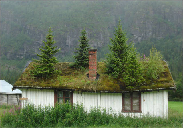 Stunning Scenic Photos of the Norwegian Countryside