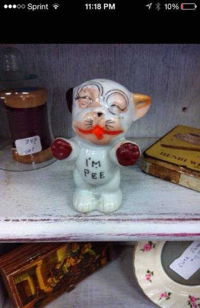 Thrift Shops Have Lots of Hidden Gems If You Look Hard Enough