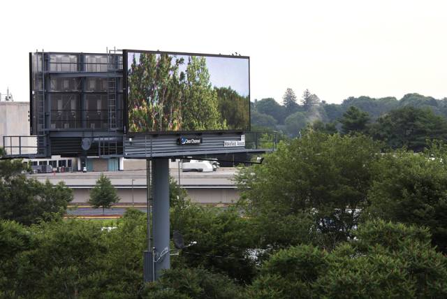 This Man Bought Digital Advertising Space on Massive Billboards and Used It to Bring Nature to the Masses