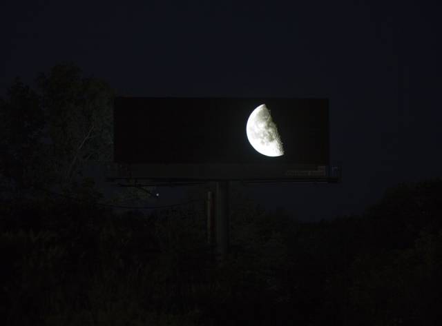 This Man Bought Digital Advertising Space on Massive Billboards and Used It to Bring Nature to the Masses