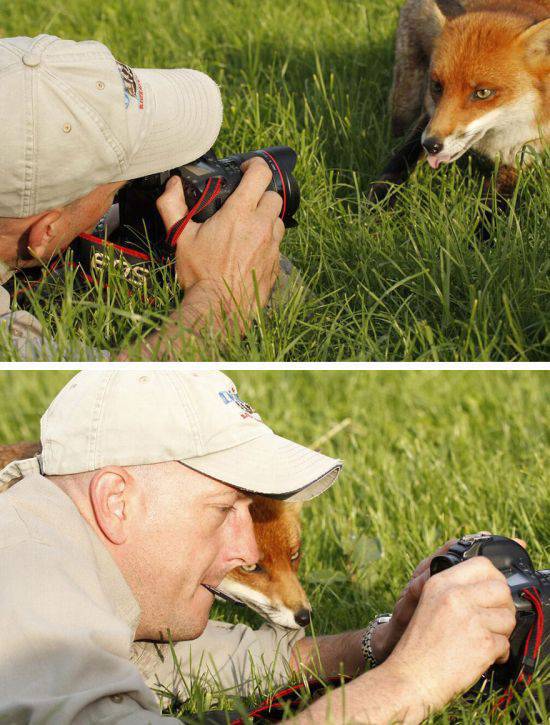 Animals That are Really Photographers in Disguise