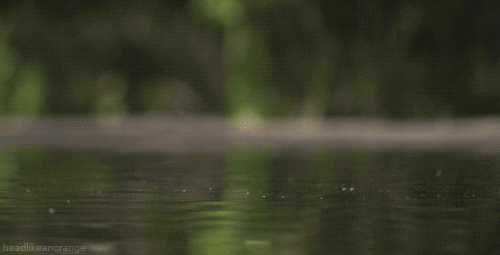 Remarkable Slow Motion GIFS That Will Have You Hooked in Seconds