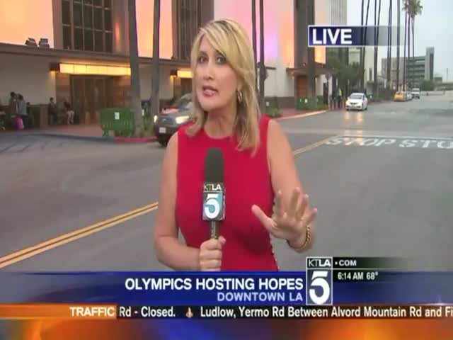 Reporter Gets Scared out of Her Skin by Epic Videobomber