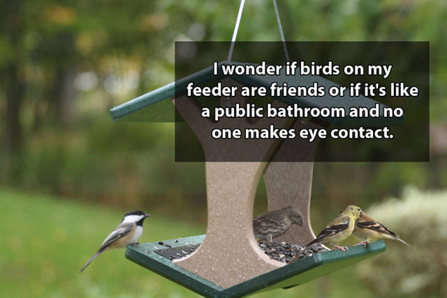 Shower Thoughts That You Will Struggle to Get Your Head Around Shower Thoughts That You Will Struggle to Get Your Head Around