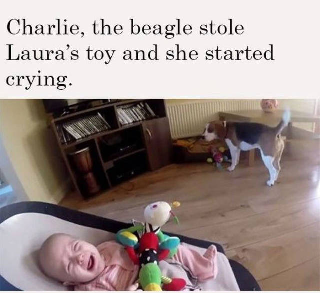 This Beagle Stops at Nothing to Make a Baby Stop Crying
