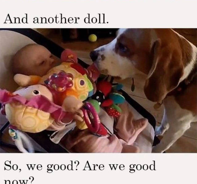 This Beagle Stops at Nothing to Make a Baby Stop Crying