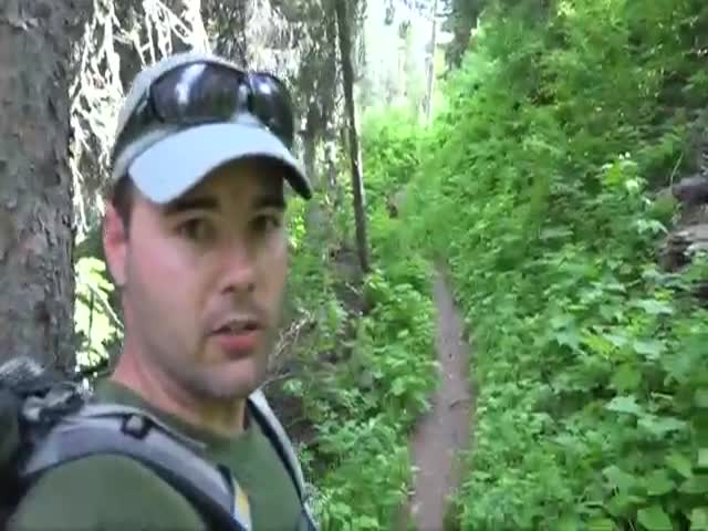 Hiker Gets a Little too Close for Comfort to a Wild Mountain Lion