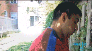 Merged GIFs Become a Fun New Short Story
