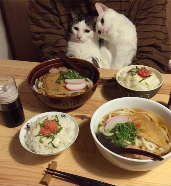 Morning Picdump Morning Picdump