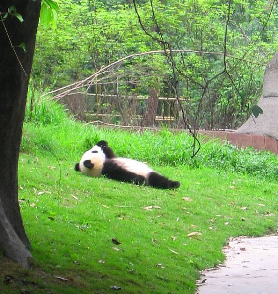 Morning Picdump Morning Picdump