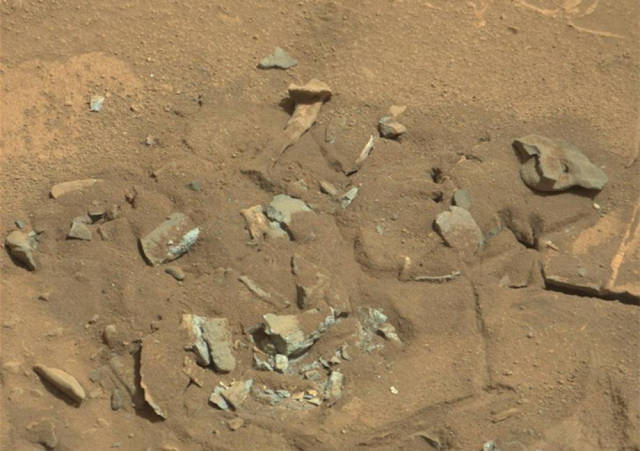 NASA’s Mars Rover Camera Captures a Crab-like Alien on the Red Planet