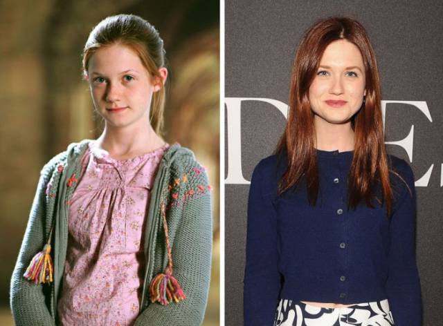 The “Harry Potter” Cast are All Grown Up
