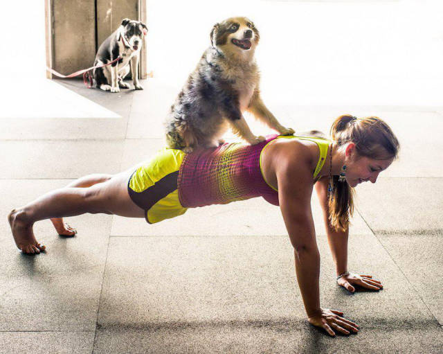 Daily Picdump [WEEKEND EDITION]