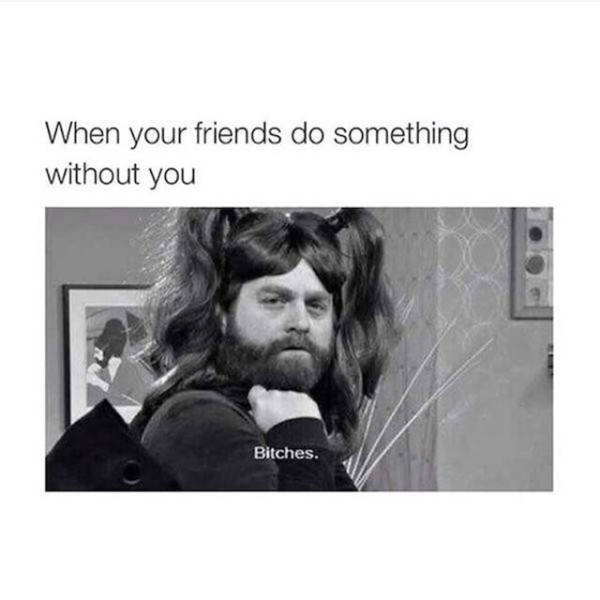 Hilarious Memes That Will Make Your Day