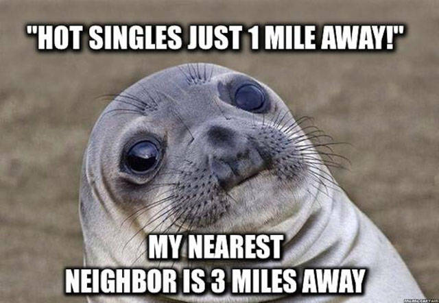 Hilarious Memes That Will Make Your Day