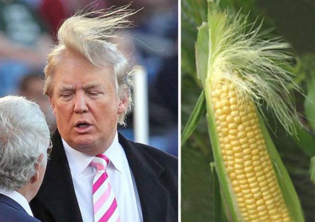 Amusing Donald Trump Jokes To Get You In The Mood for Today