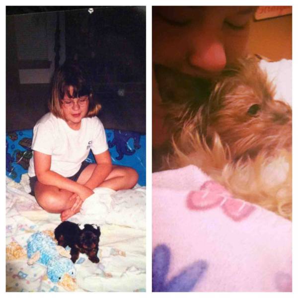 Touching First and Last Photos of Beloved Pets