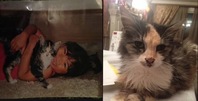 Touching First and Last Photos of Beloved Pets